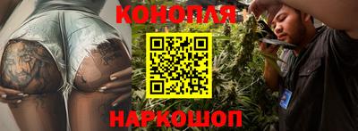 гашик Белореченск