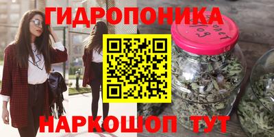 гашик Белореченск