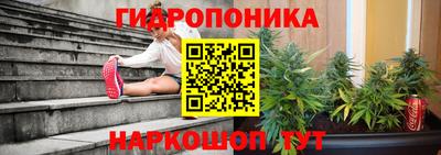 ешки Бердск
