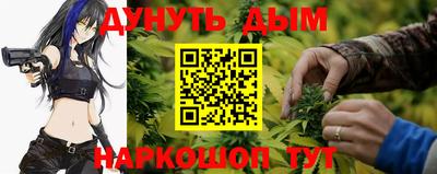 ешки Бердск